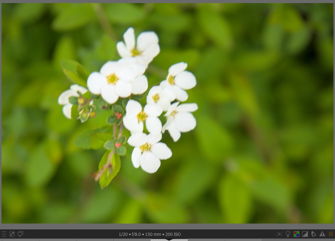 f:id:computer_philosopher:20220401225414j:plain