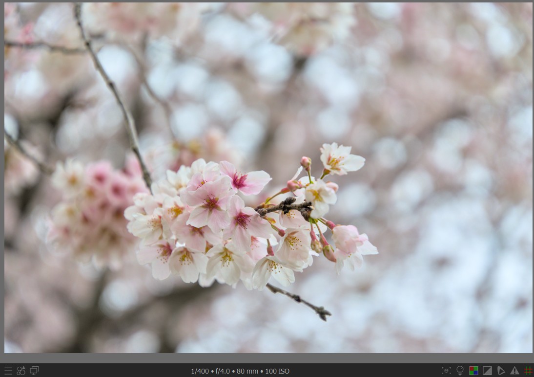 f:id:computer_philosopher:20220405225329j:plain