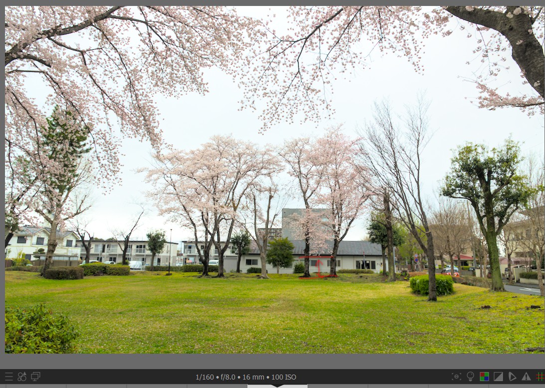 f:id:computer_philosopher:20220405225523j:plain