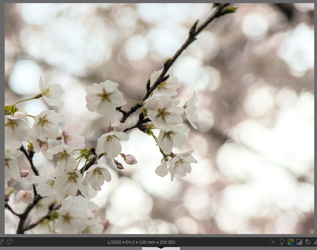 f:id:computer_philosopher:20220405231008j:plain