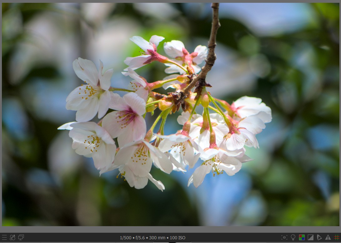 f:id:computer_philosopher:20220406234518j:plain