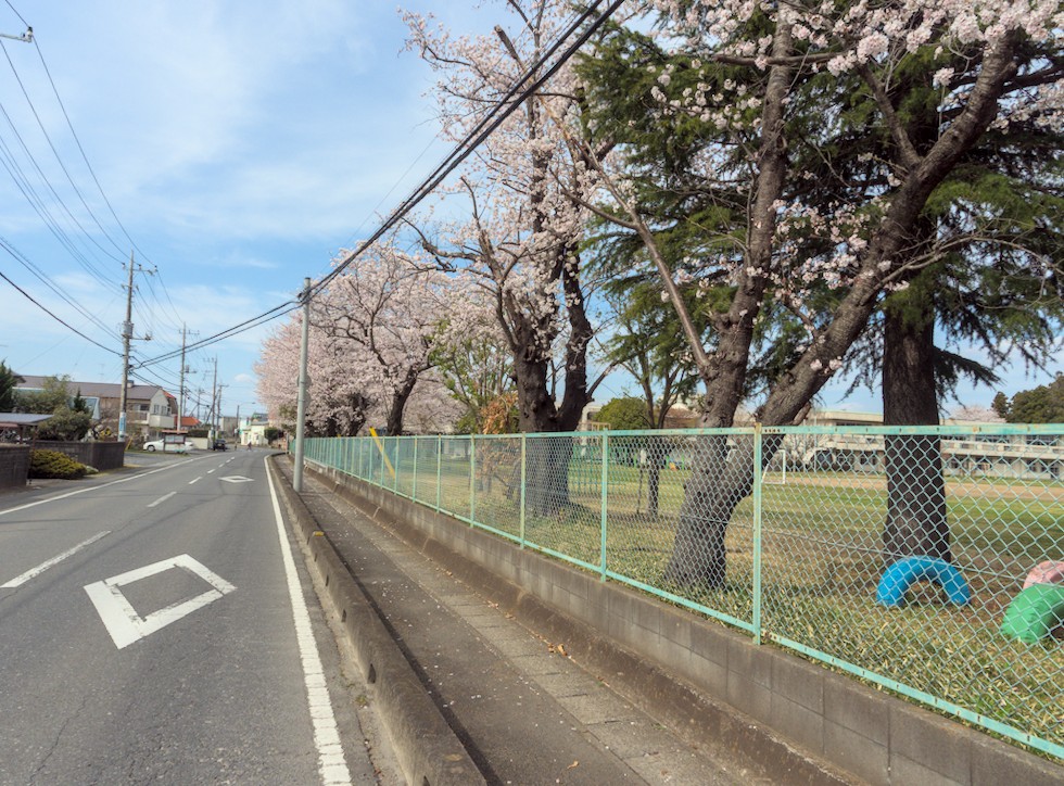 f:id:computer_philosopher:20220407232923j:plain