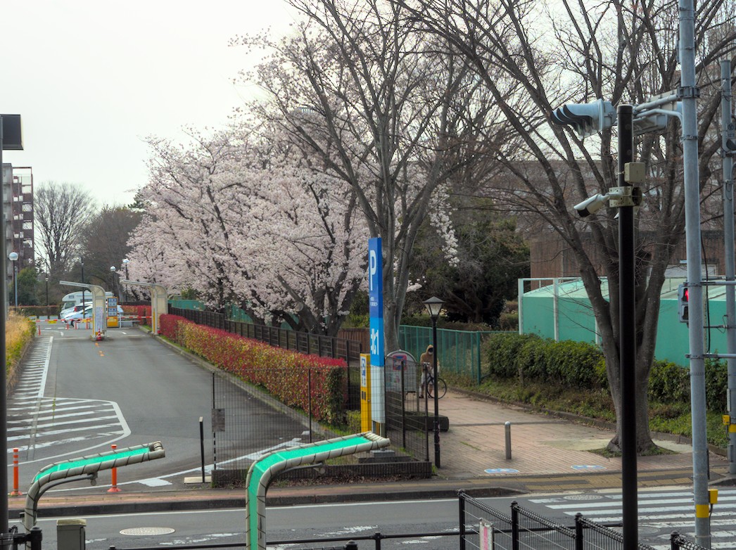 f:id:computer_philosopher:20220408234944j:plain