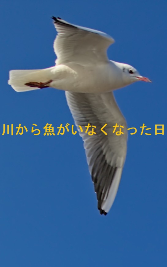 f:id:computer_philosopher:20220409183415j:plain