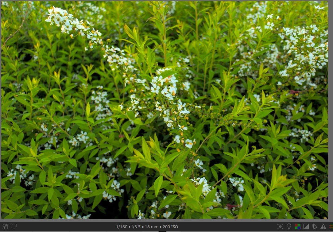 f:id:computer_philosopher:20220413232423j:plain