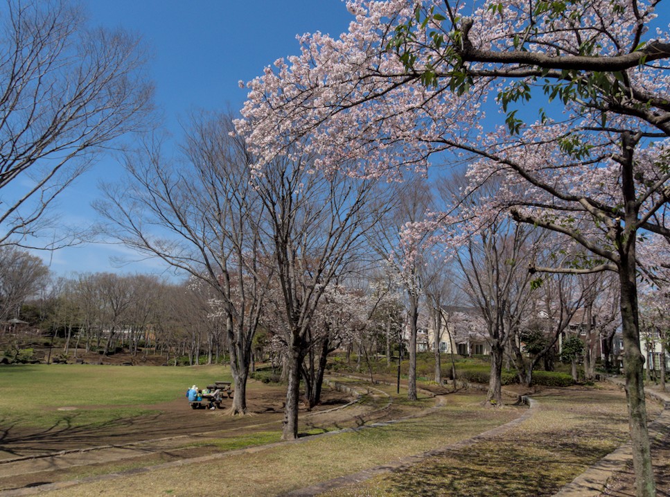 f:id:computer_philosopher:20220415205646j:plain