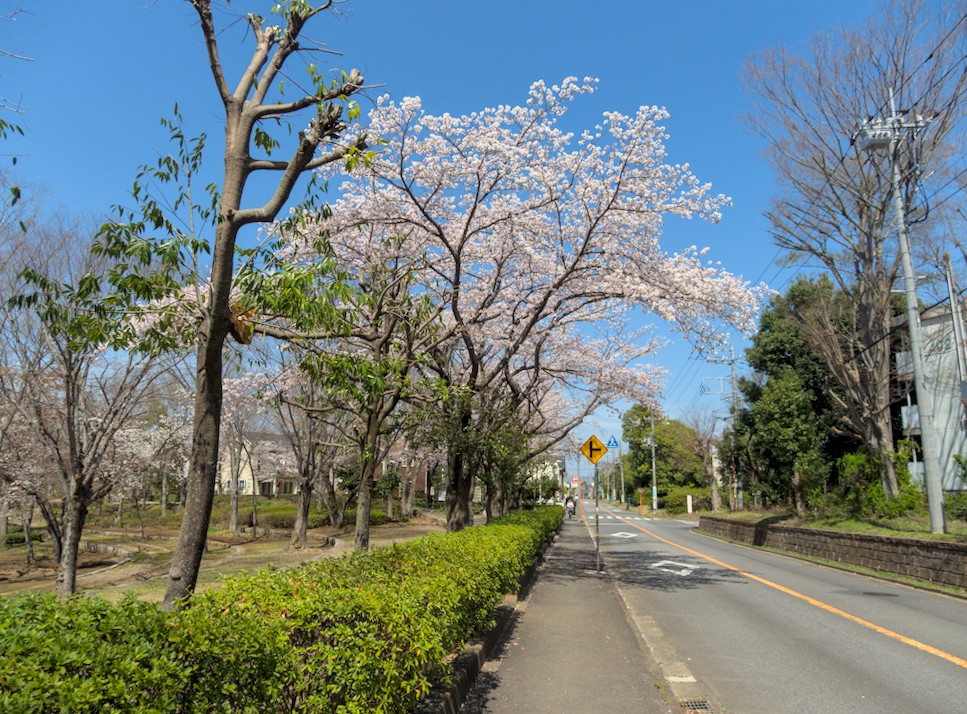 f:id:computer_philosopher:20220415205658j:plain