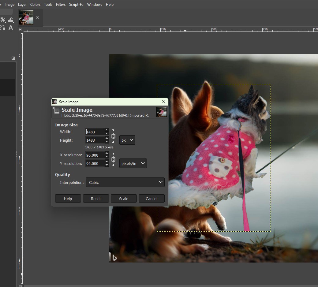 darktableのWatermarkを使いこなす。 computer_philosopher’s diary