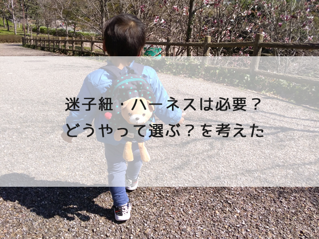 迷子紐 ハーネスは必要 どうやって選ぶ を考えた 使ってみた感想 コンテの引き出し