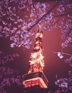 f:id:comuron47:20160401072246j:plain f:id:comuron47:20160401072246j:plain