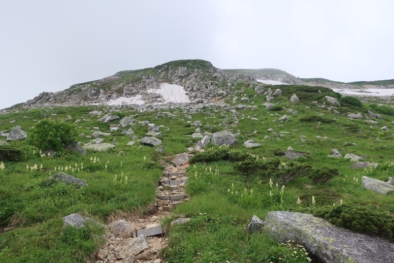 f:id:conablo:20190904184620j:image