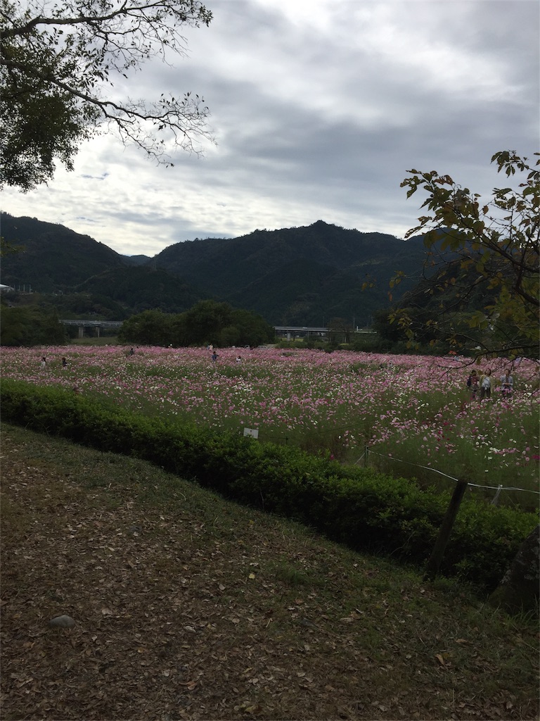 f:id:conakichi:20161017081547j:image