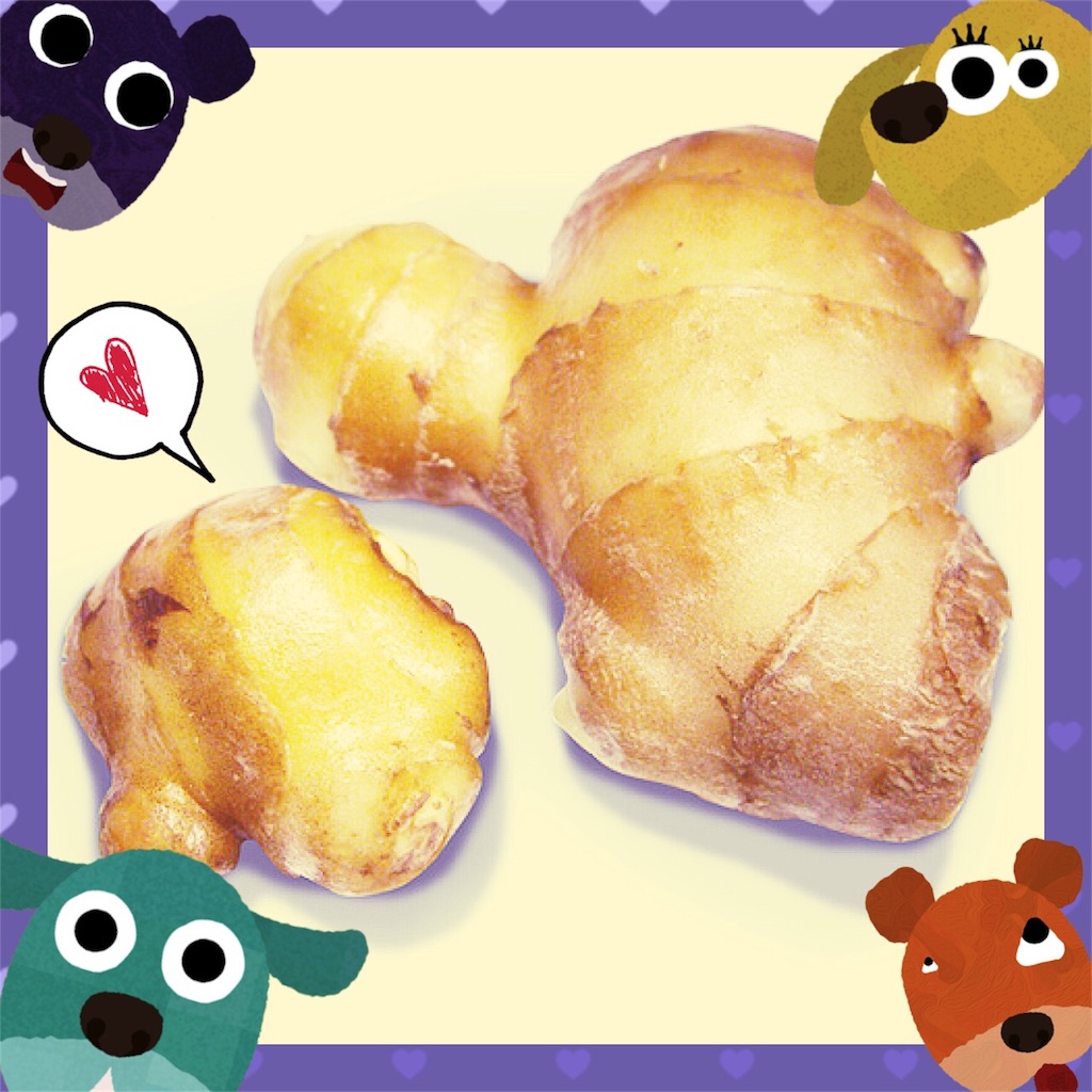 f:id:conakichi:20161101220851j:image f:id:conakichi:20161101220851j:image
