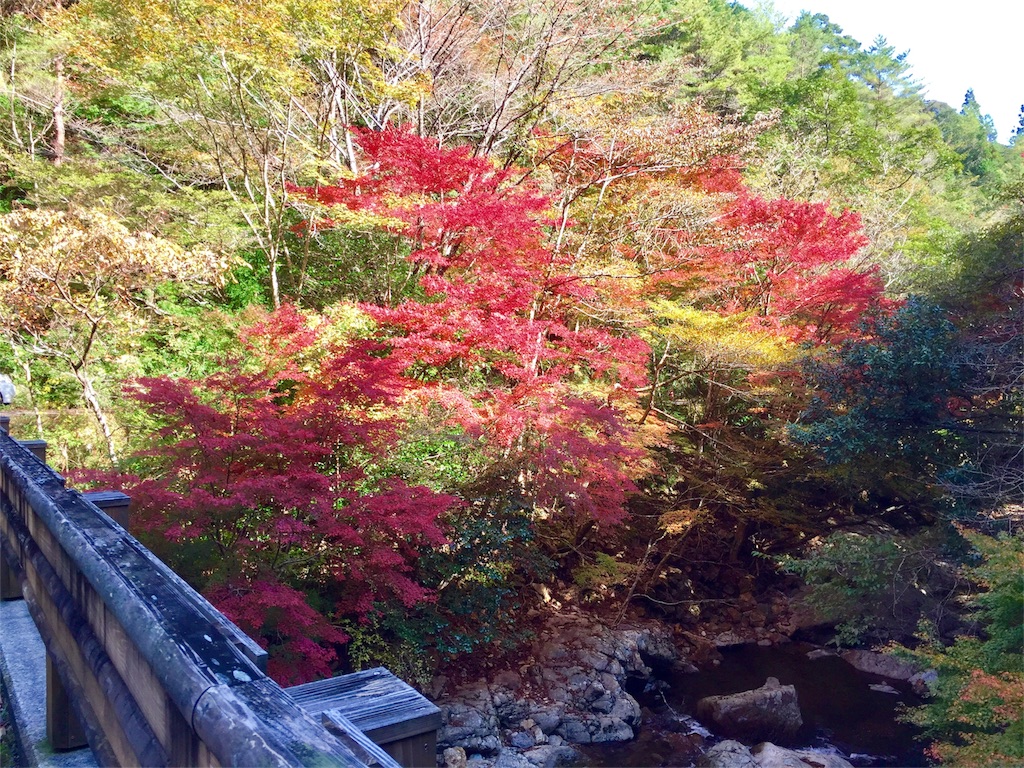 f:id:conakichi:20161112221503j:image f:id:conakichi:20161112221503j:image
