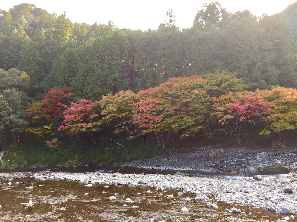 f:id:conakichi:20161112221554j:image f:id:conakichi:20161112221554j:image