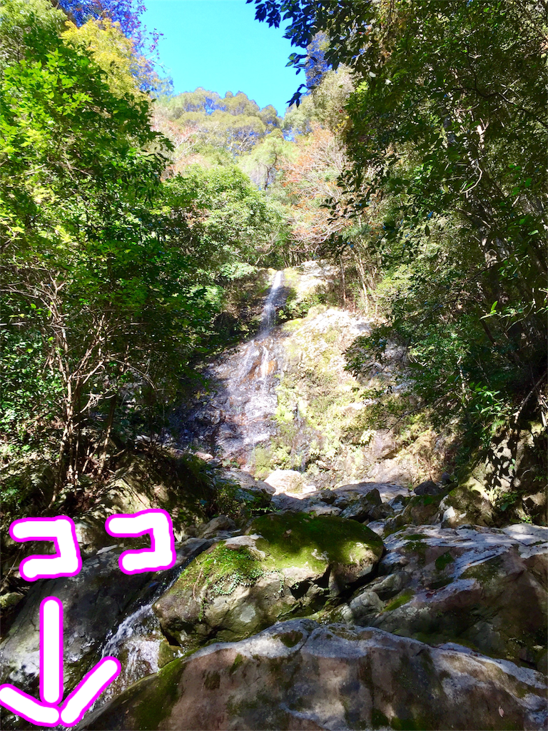 f:id:conakichi:20161113153018p:image
