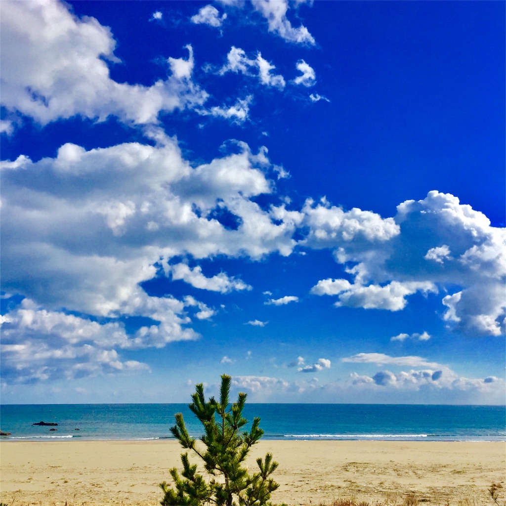 f:id:conakichi:20170125114154j:image f:id:conakichi:20170125114154j:image