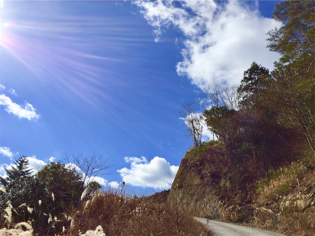 f:id:conakichi:20171206213439j:image