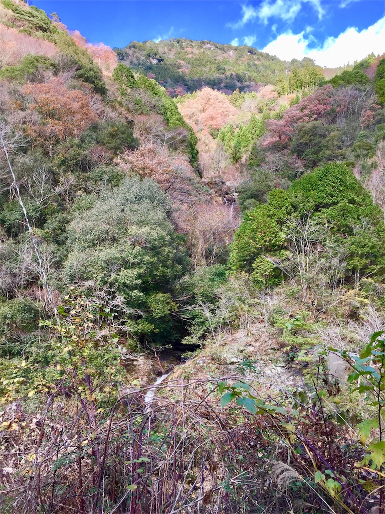 f:id:conakichi:20171207092536j:image
