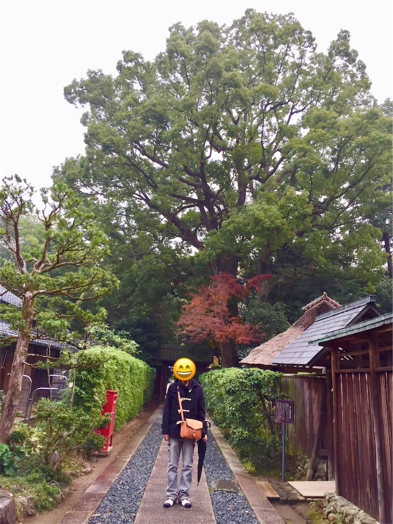 f:id:conakichi:20181210194818p:image