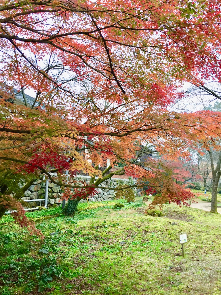f:id:conakichi:20181210194901j:image