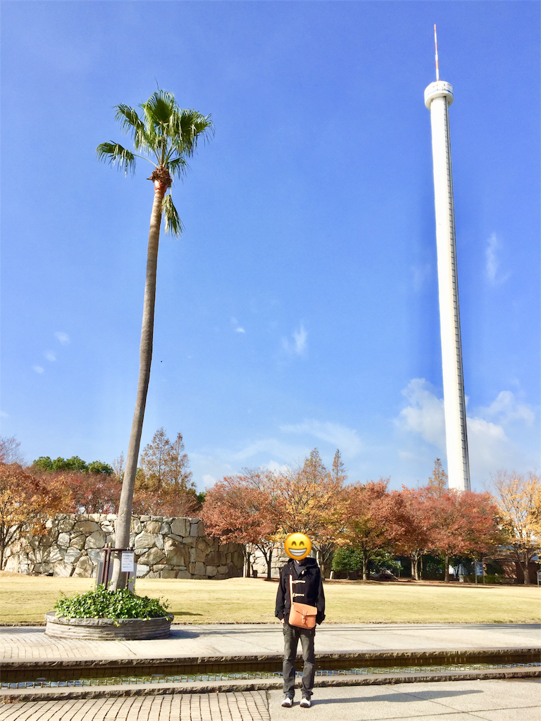 f:id:conakichi:20181214083809p:image