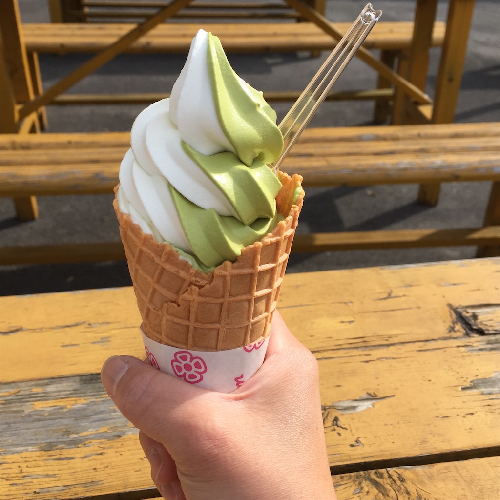 f:id:conakichi:20190603075419j:image