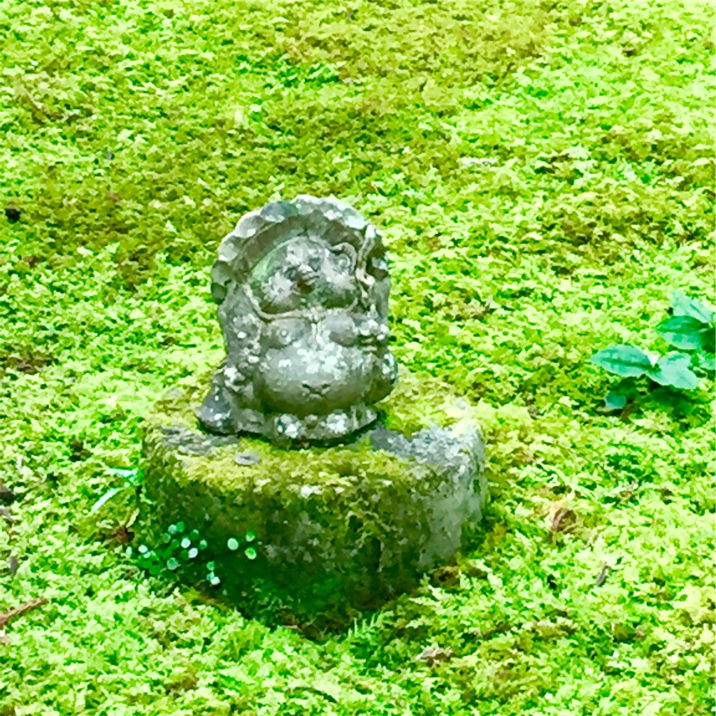 f:id:conakichi:20191103153756j:image