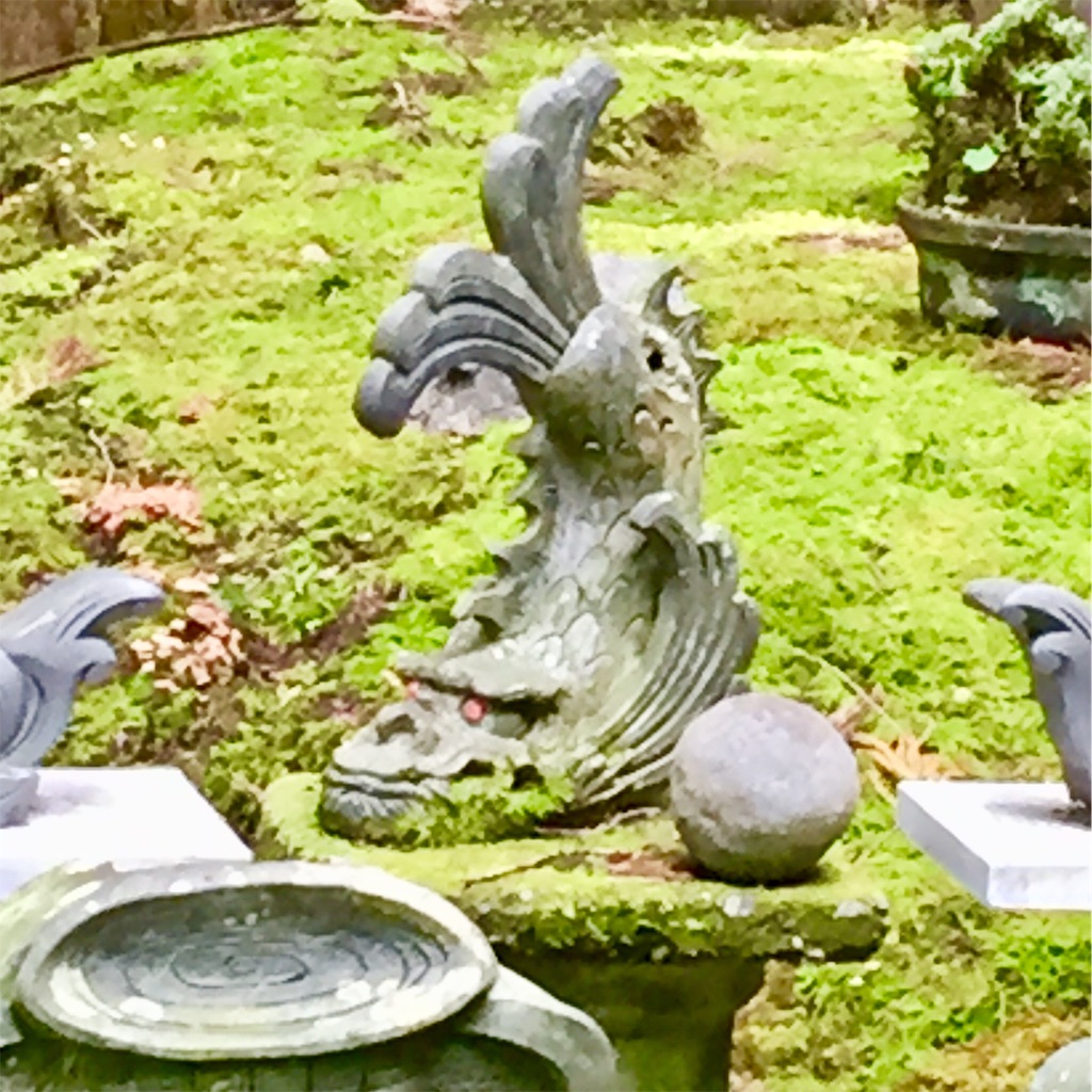 f:id:conakichi:20191103153817j:image