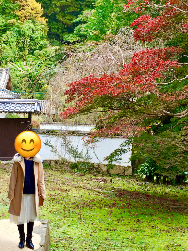 f:id:conakichi:20191121064825p:image