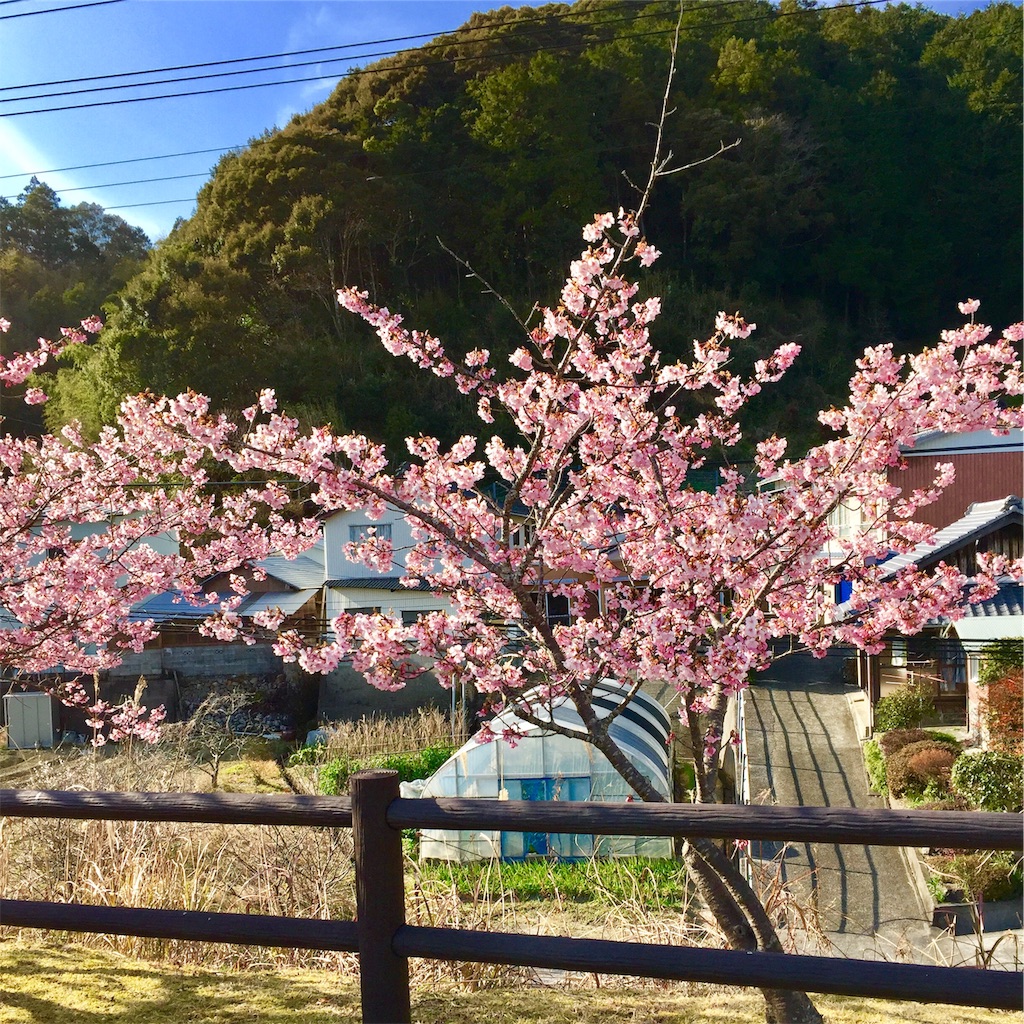 f:id:conakichi:20200211203812j:image