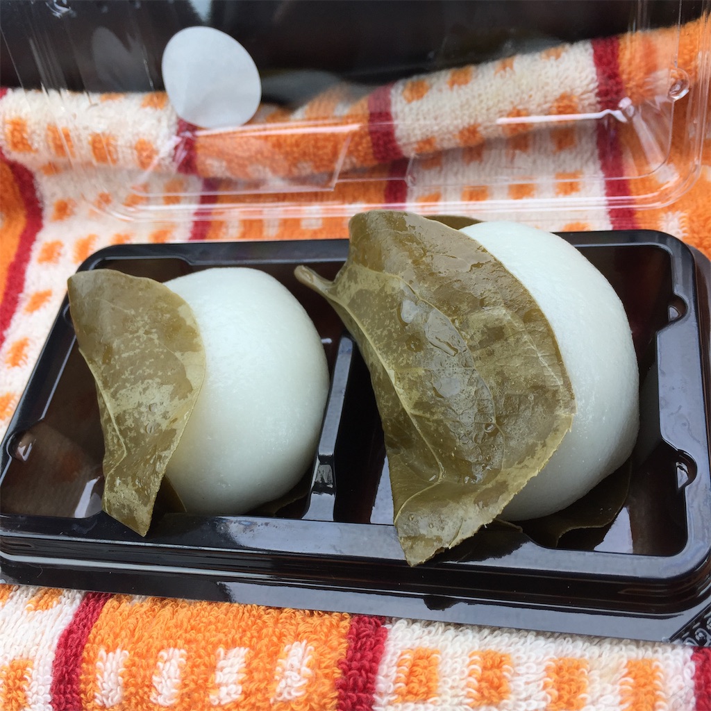 f:id:conakichi:20200220161218j:image