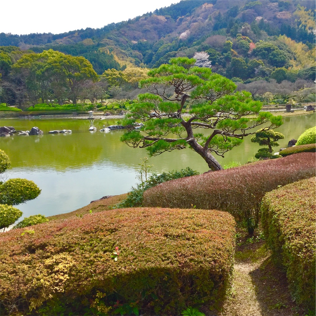 f:id:conakichi:20200322153405j:image f:id:conakichi:20200322153405j:image