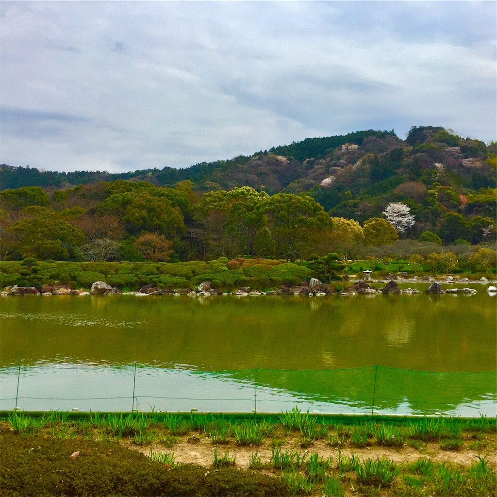 f:id:conakichi:20200322153414j:image f:id:conakichi:20200322153414j:image