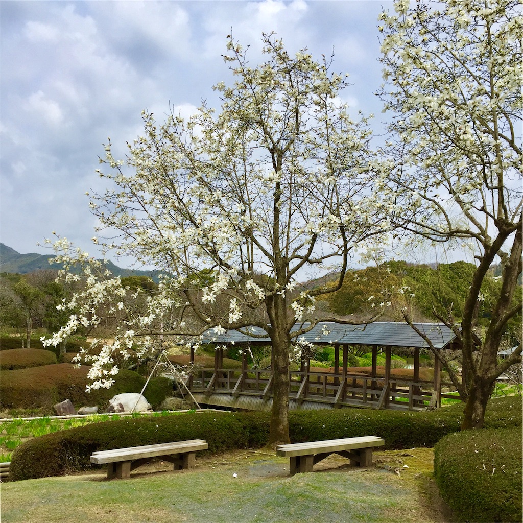 f:id:conakichi:20200322153838j:image f:id:conakichi:20200322153838j:image