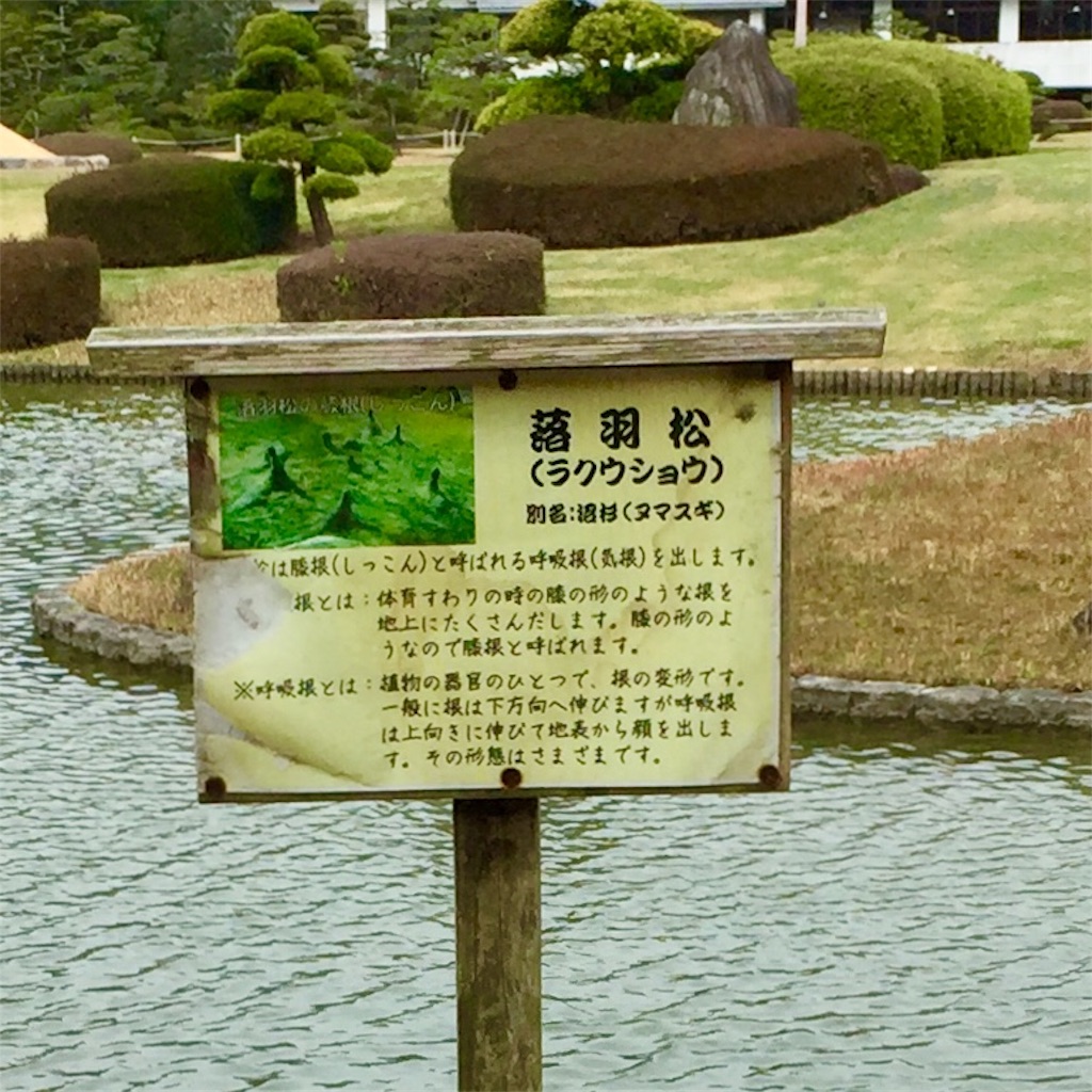 f:id:conakichi:20200322154040j:image f:id:conakichi:20200322154040j:image
