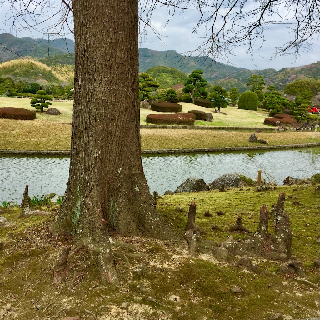 f:id:conakichi:20200322154047j:image f:id:conakichi:20200322154047j:image