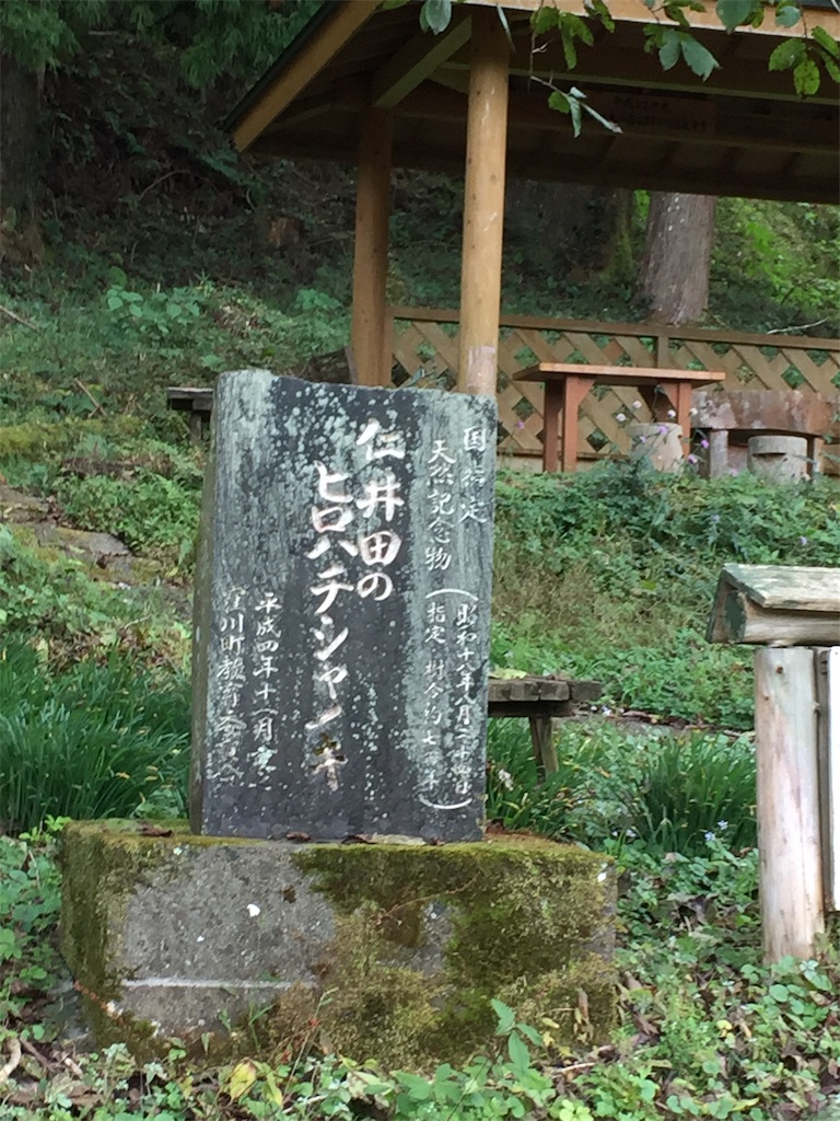 f:id:conakichi:20201024214555j:image