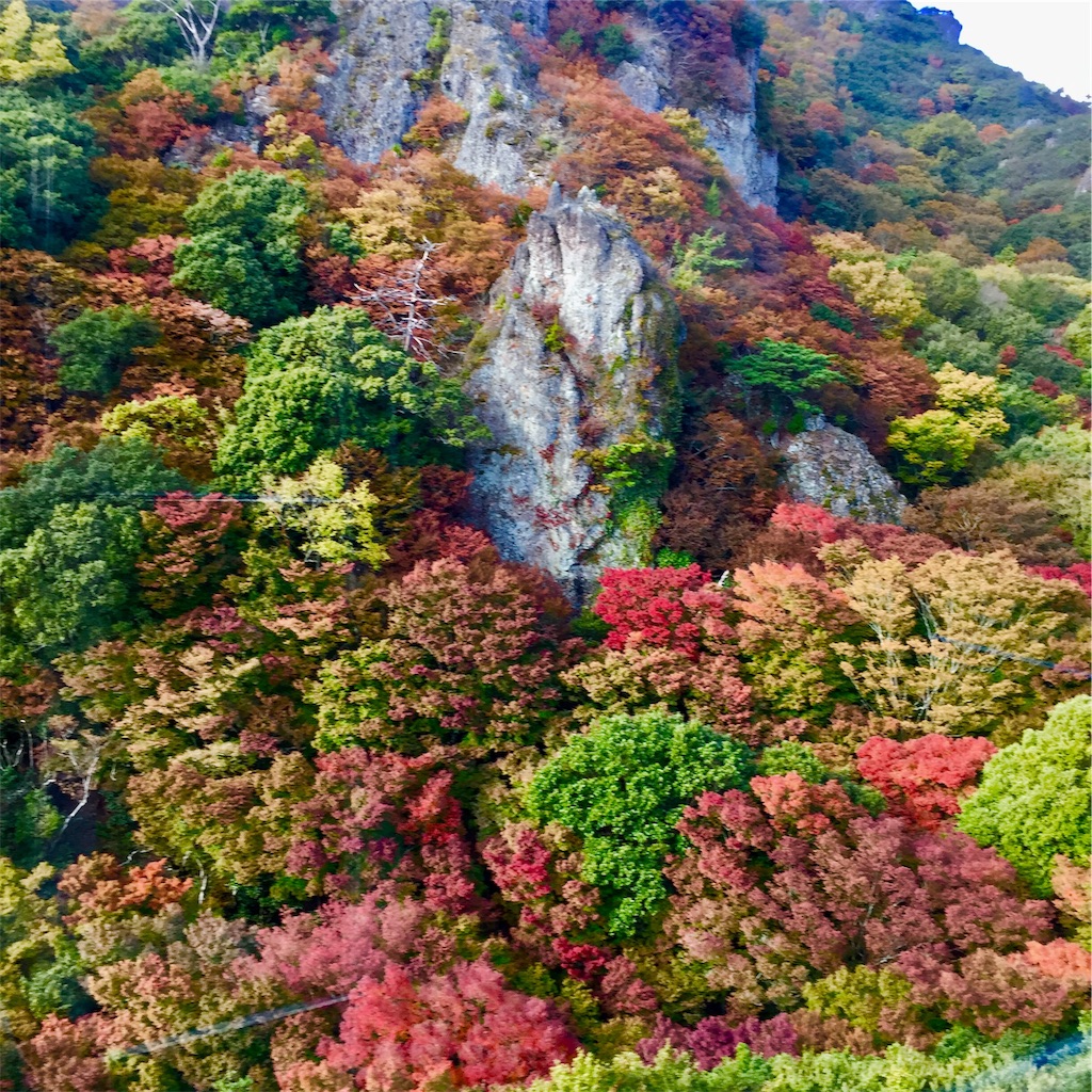 f:id:conakichi:20201113181431j:image f:id:conakichi:20201113181431j:image