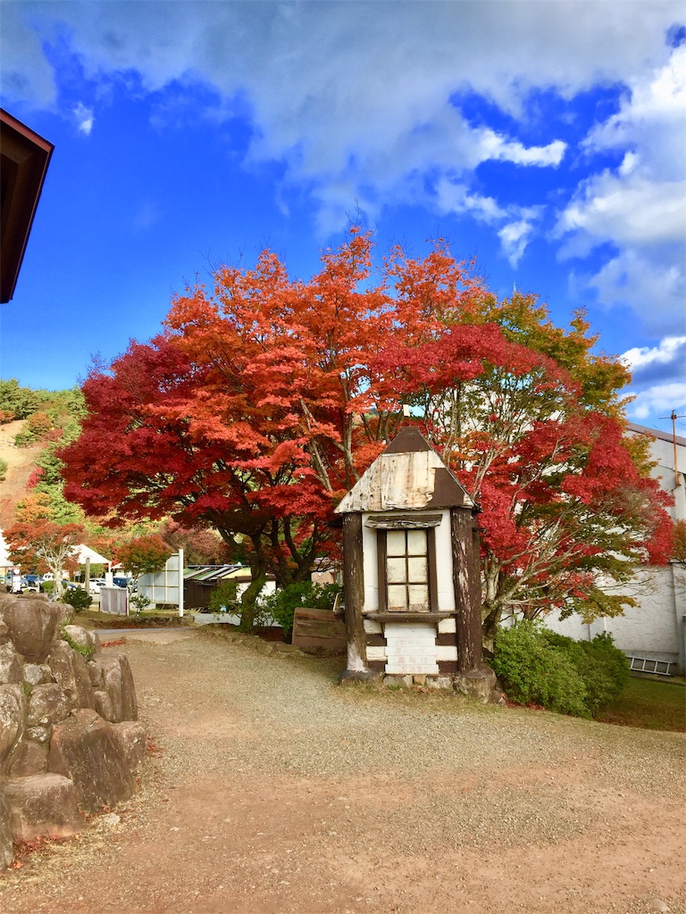 f:id:conakichi:20201113181626j:image f:id:conakichi:20201113181626j:image