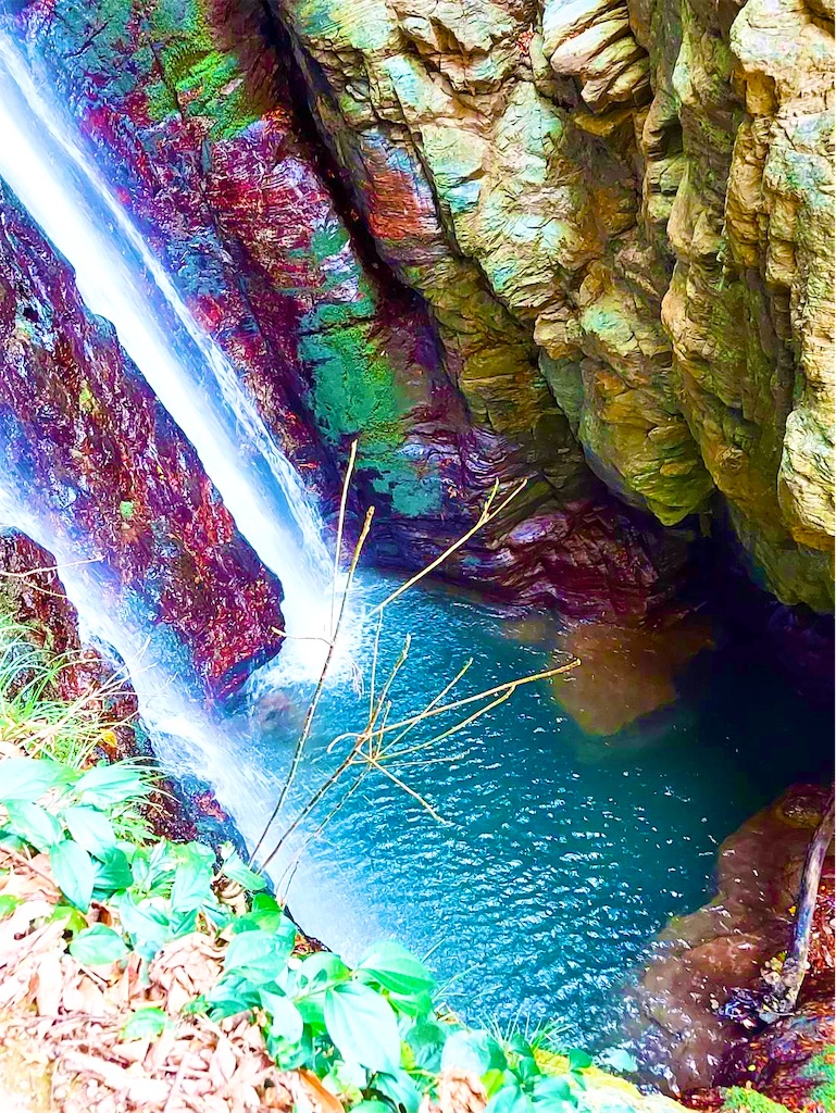 f:id:conakichi:20211124062139j:image f:id:conakichi:20211124062139j:image