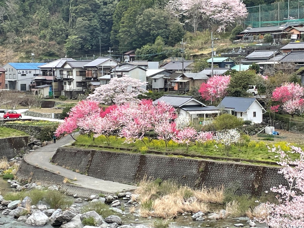 f:id:conakichi:20220331172849j:image