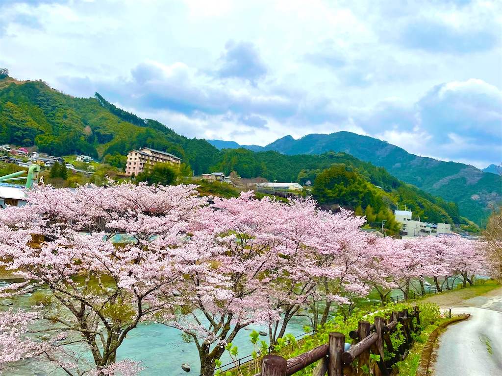 f:id:conakichi:20220331172928j:image