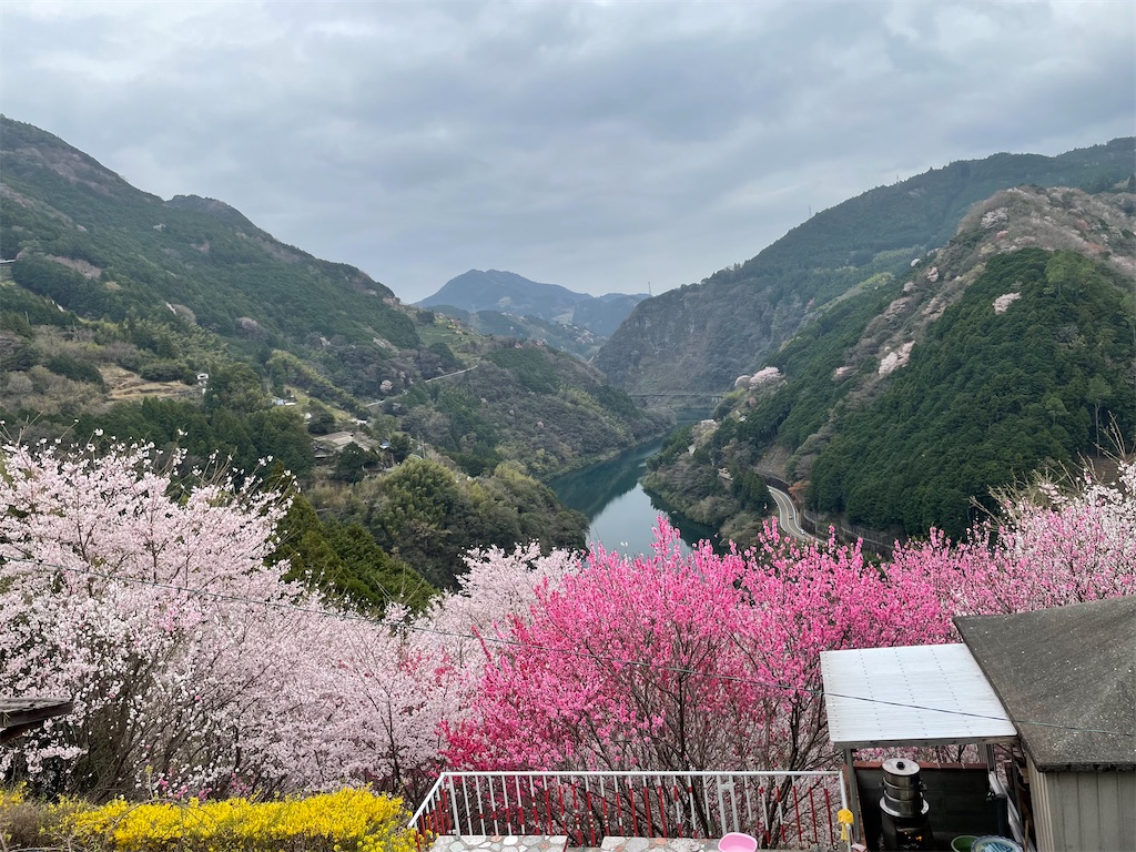 f:id:conakichi:20220331172935j:image