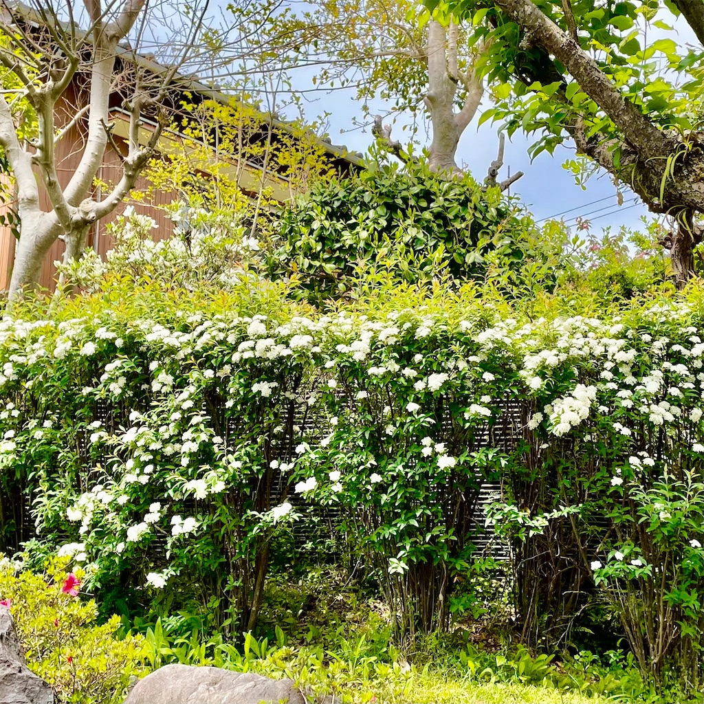 f:id:conakichi:20220421145126j:image