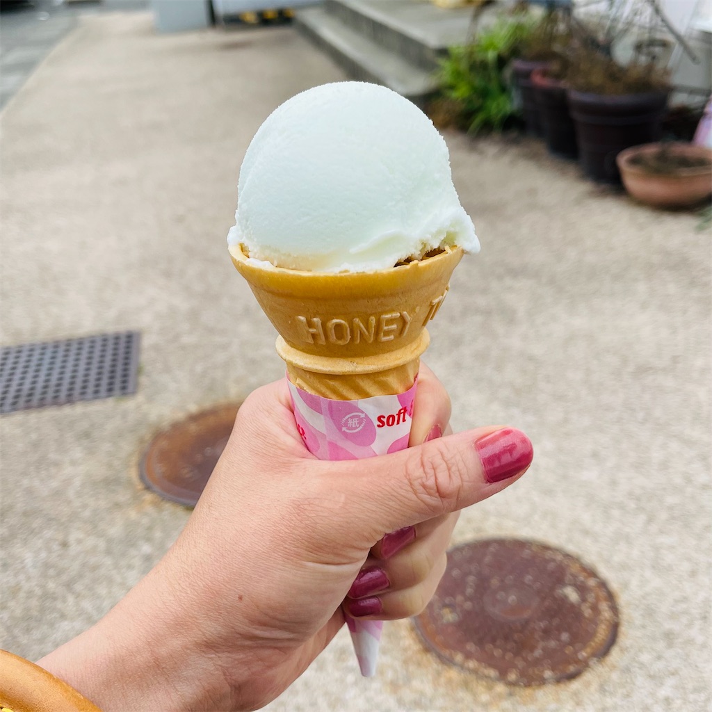 f:id:conakichi:20220516211337j:image f:id:conakichi:20220516211337j:image