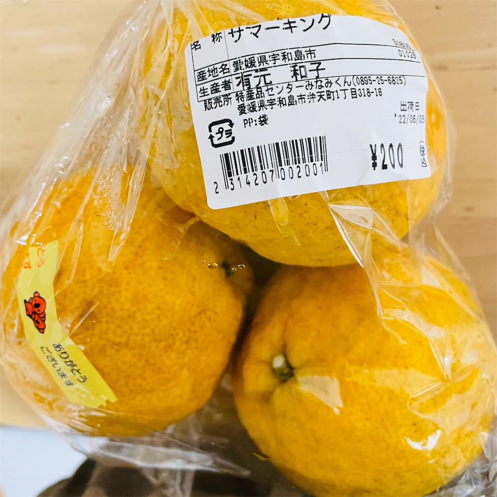 f:id:conakichi:20220615205043j:image