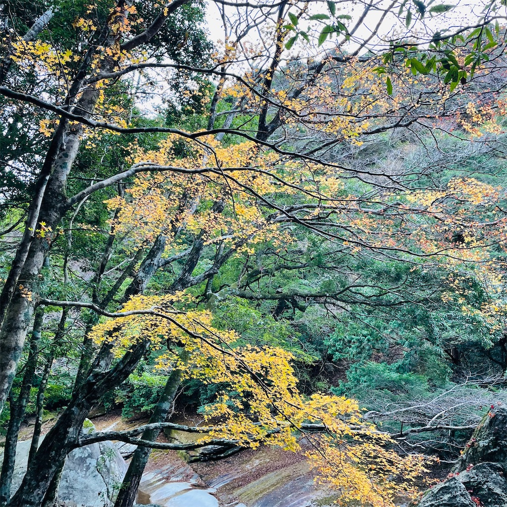 f:id:conakichi:20221123154158j:image