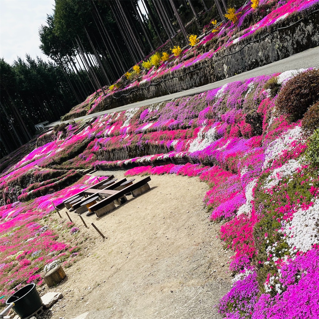 f:id:conakichi:20230407215933j:image