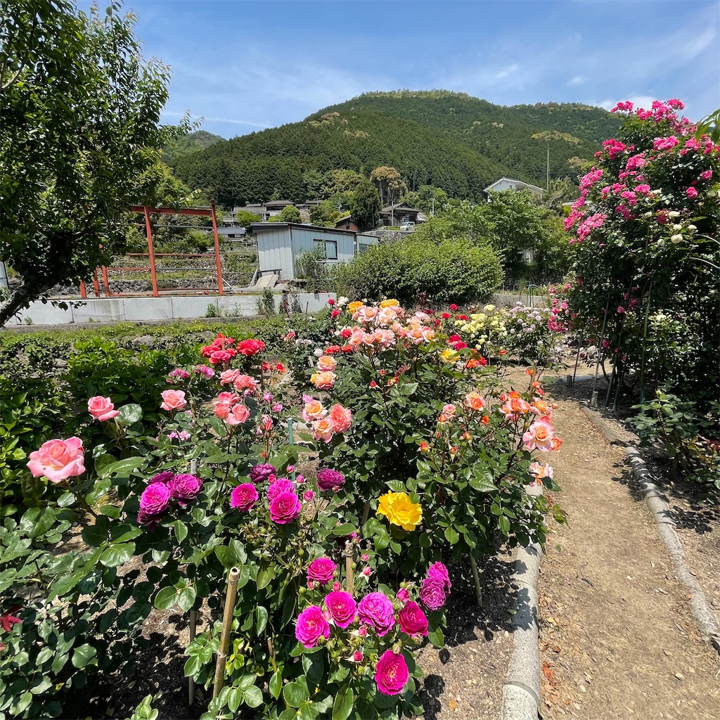 f:id:conakichi:20230516202242j:image f:id:conakichi:20230516202242j:image